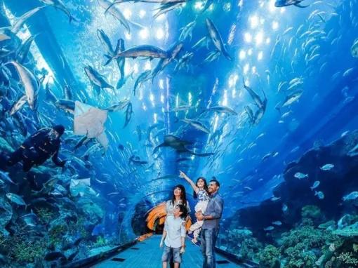 Go-City-Dubai-All-Inclusive Pass