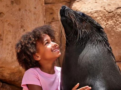 Sea Lion Meet & Greet at Atlantis Dubai