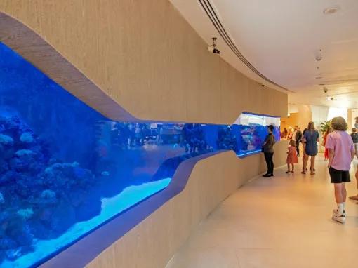 The View at The Palm