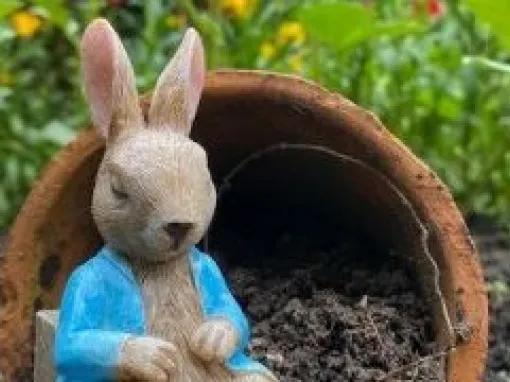 peter-rabbit-statue-in-garden
