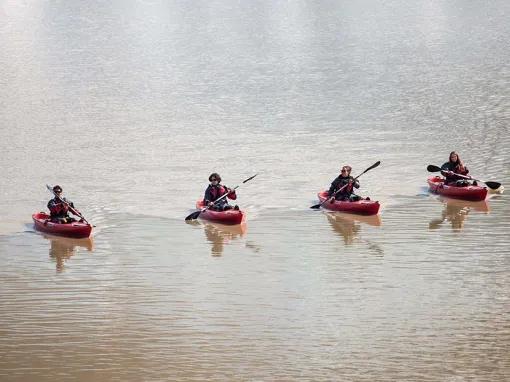 Group-of-Kayakers