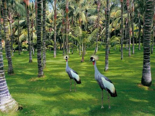 Birds at Loro Parque