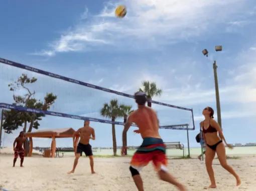 Gray Line Orlando Clearwater Beach Tours