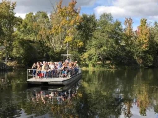 Swim with the Manatee