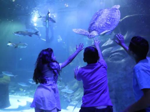 Family at the Sea Life Orlando Aquarium
