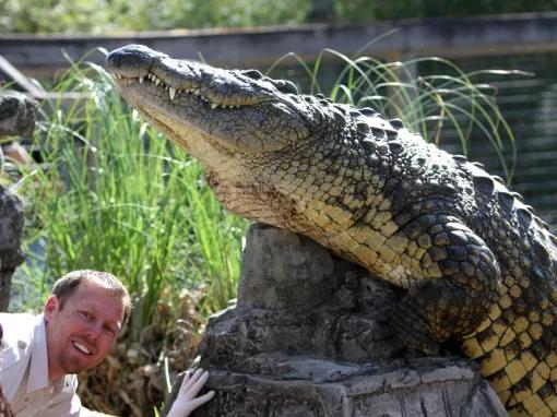 Airboat Ride and Gatorland Park Combo with Transportation