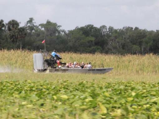 Airboat Ride and Gatorland Park Combo with Transportation