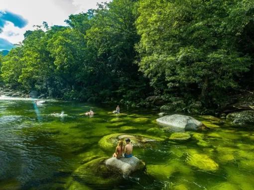 Mossman Gorge, Daintree and Wildlife Tour from Port Douglas 