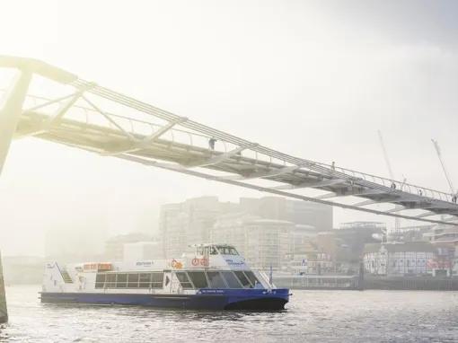 Cruising-under-wobbly-bridge