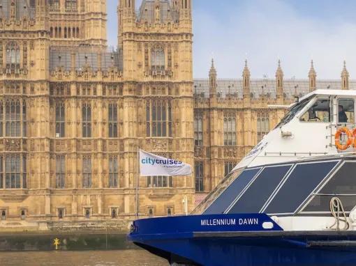 Houses-of-parliament