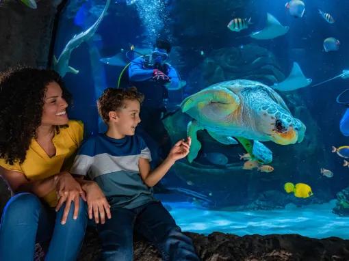 Family at the Sea Life Orlando Aquarium
