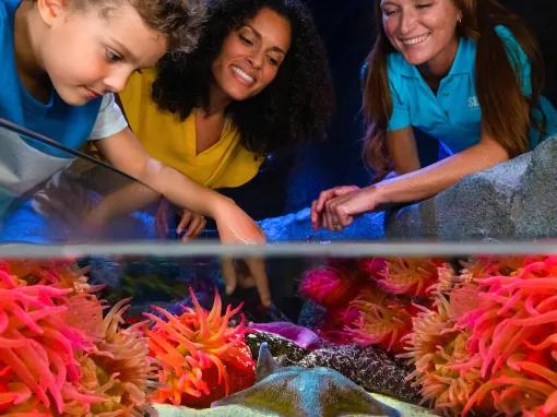 Family at the Sea Life Orlando Aquarium