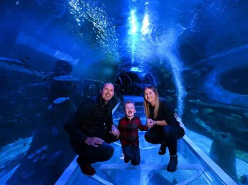 Sea Life Birmingham Tunnel
