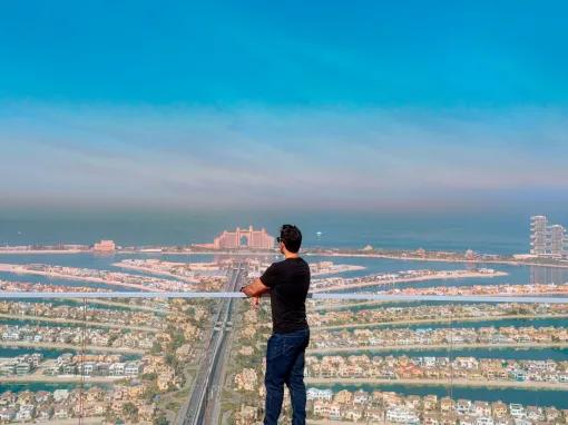 The View at The Palm