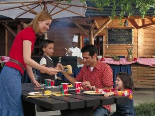 Davy Crockett BBQ DLP
