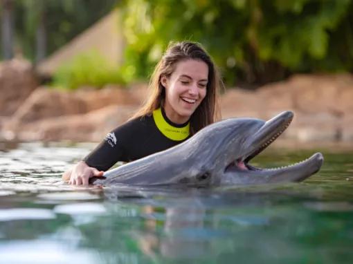Woman interacting with Dolphin at Discovery Cove Orlando