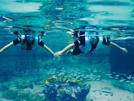 Guests snorkelling over the Grand Reef at Discovery Cove Orlando