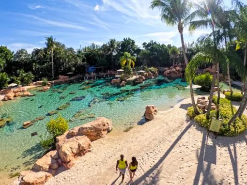 Sandy beach at Discovery Cove Orlando