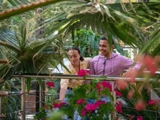 Bombay Sapphire Distillery Tour