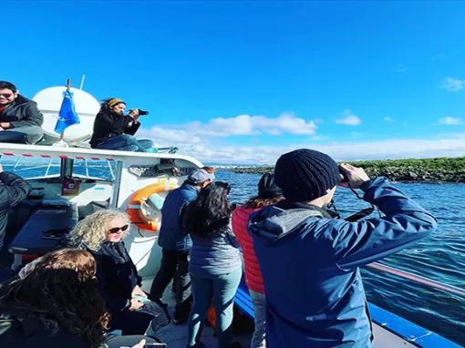 Observing from a boat