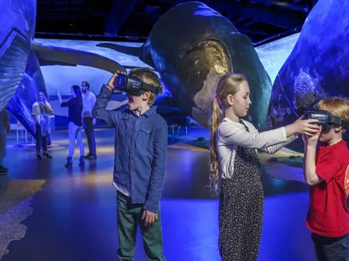 Interactive Exhibition