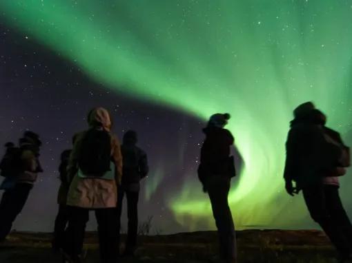 Golden Circle & Northern Lights