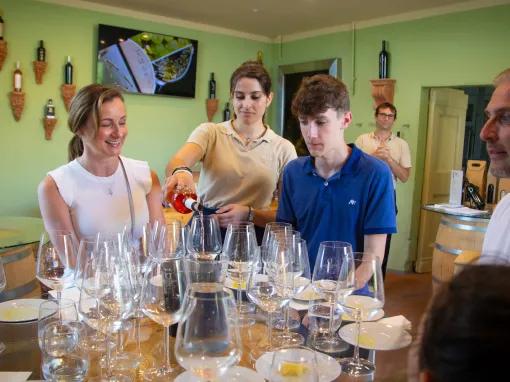 Semi Private Chianti Wine Tour with Wineries