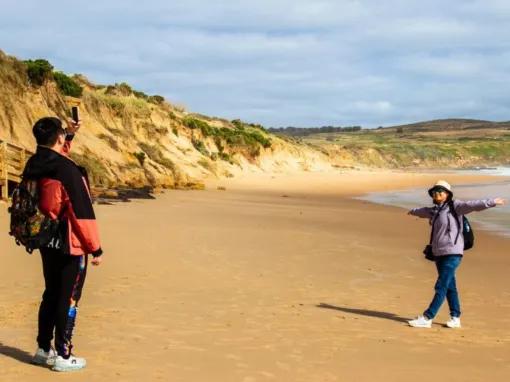 Phillip Island Penguin Parade