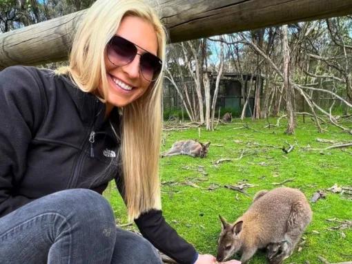 Phillip Island Penguin Parade