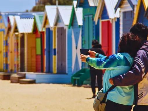 Phillip Island Penguin Parade