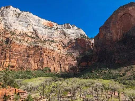 Zion National Park Tour