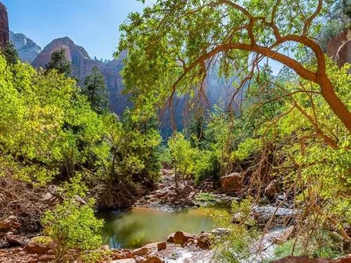 Zion National Park Tour