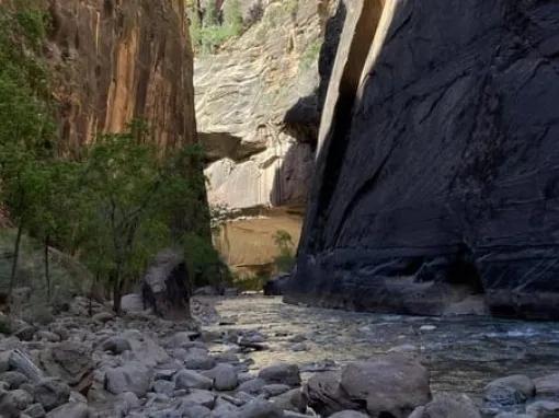 Zion National Park Tour