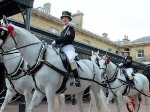 Royal Mews Horse Drawn Carriage