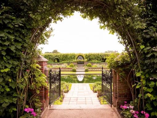 London Kensington Palace & Afternoon Tea