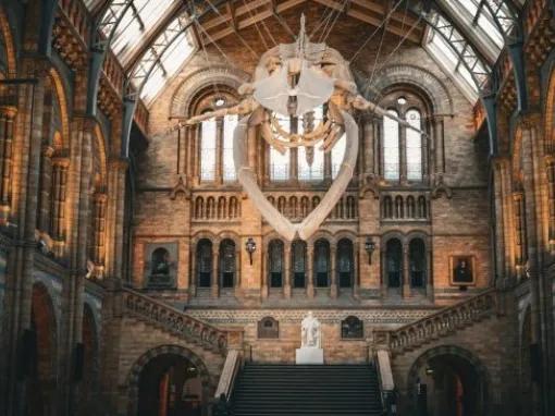 Natural History Museum tour