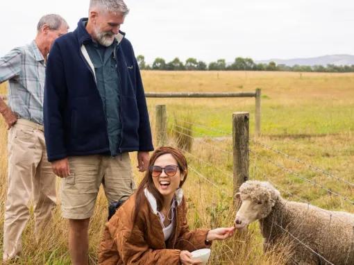 Woman smiling while feeding a sheep at Coldstream Dairy, with two other people watching in the background