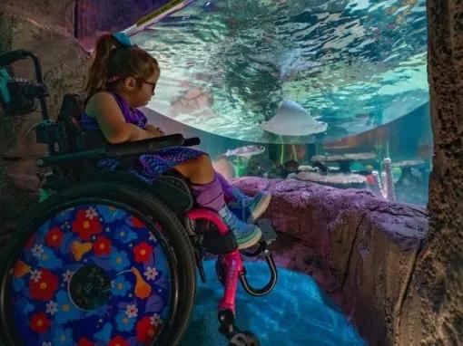  SEA LIFE centre new for 2025!