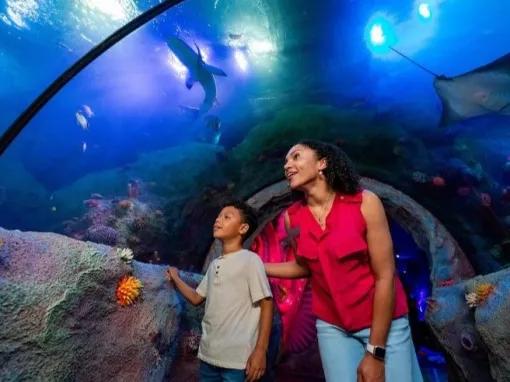 SEA LIFE centre new for 2025!