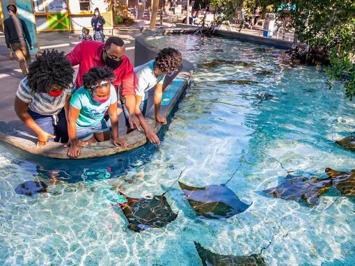 Go City: Los Angeles All-Inclusive Pass