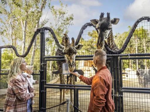 Go City: Los Angeles All-Inclusive Pass Plus