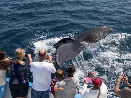 Go City: San Diego All-Inclusive Pass