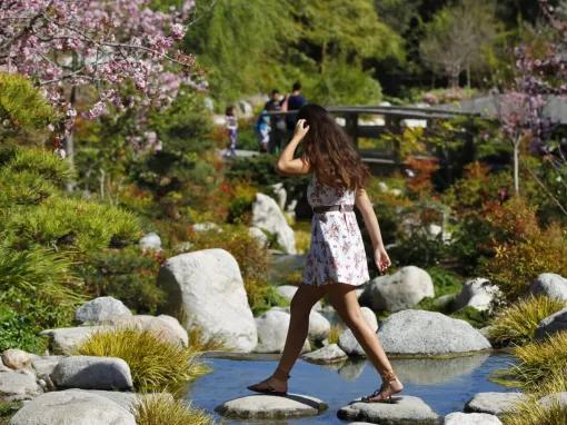 Go City: San Diego All-Inclusive Pass