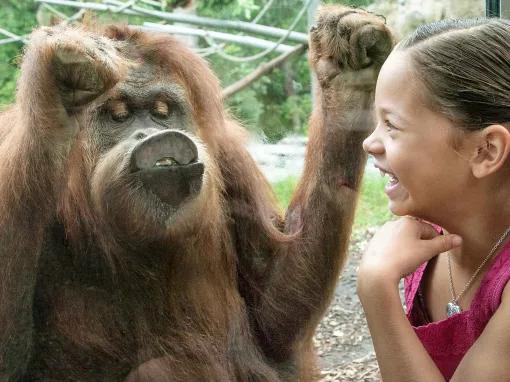 Go City: San Diego All-Inclusive Pass Plus