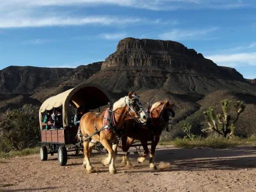 Grand Canyon Western Ranch Overnight Cabin Stay Getaway by Helicopter and Ground