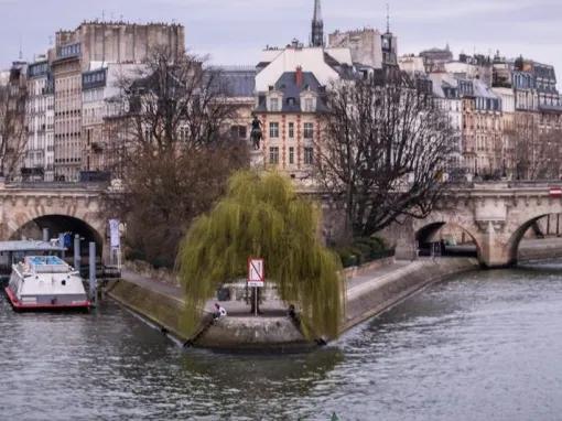 Guided Notre Dame Cathedral Tour and Seine River Cruise