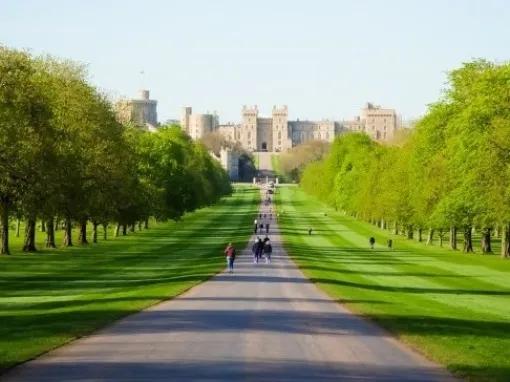 Royal Windsor Afternoon Tea Bus Tour