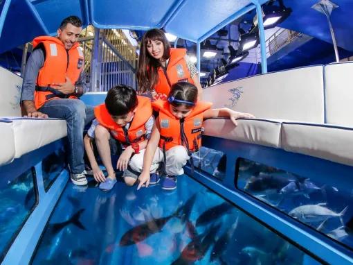 Go City: Dubai Highlights Pass