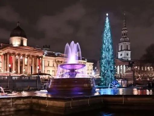 Christmas Lights Photography Tour