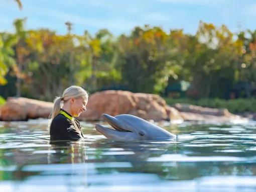 Guest with Dolphin at Discovery Cove